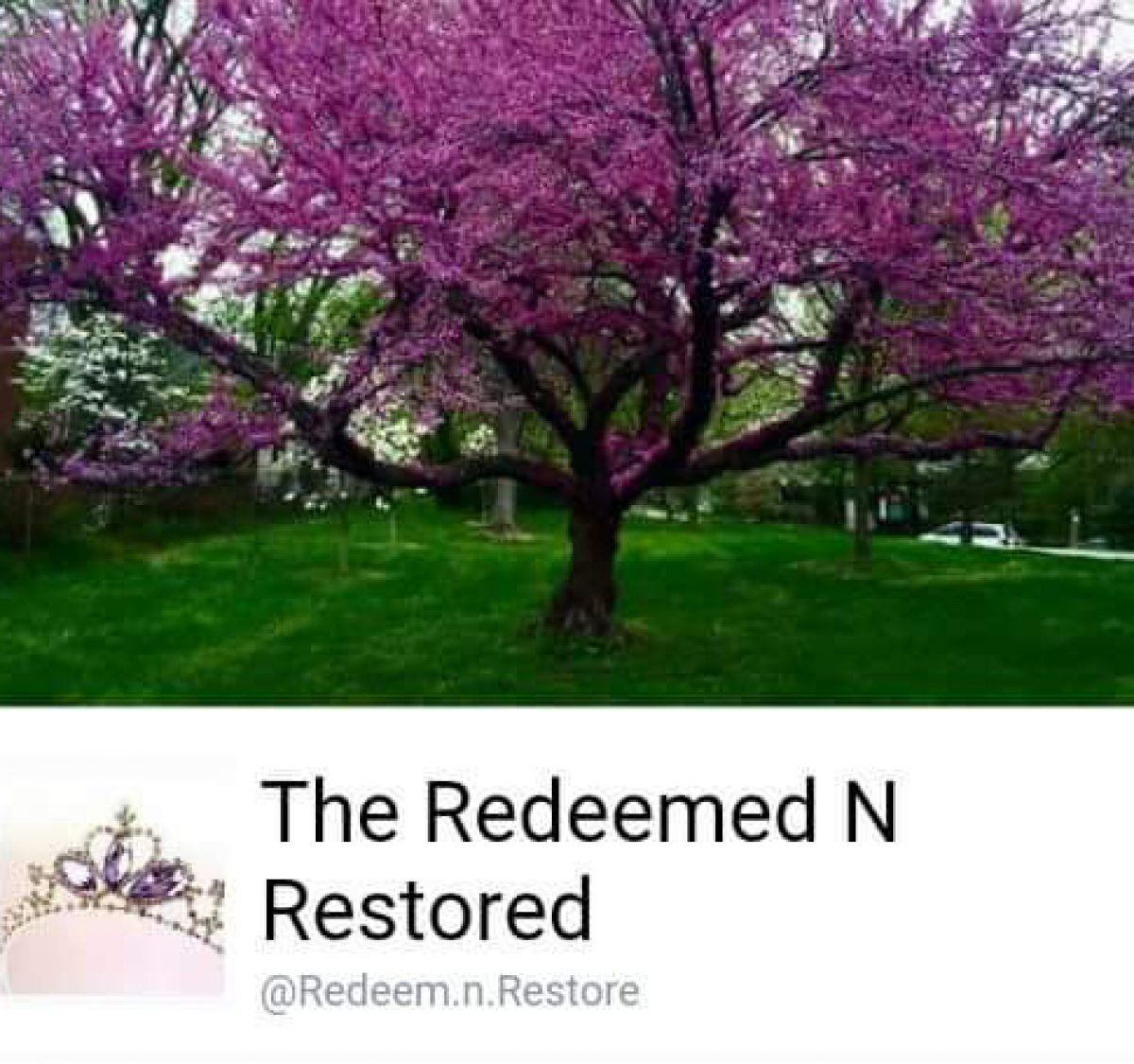 Redeemed.N.Restored